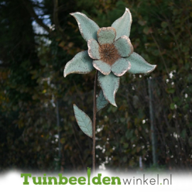 Metalen tuinsteker ''De mooie narcis'' TBW90041