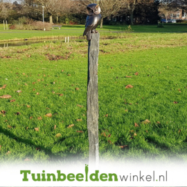 Beeld uil ''Bronzen uil'' TBW37234