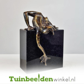 Tuinbeeld kikker ''Kikkertje op sokkel'' TBW26666