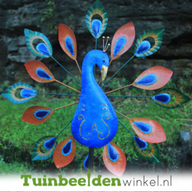 Windspinner ''De grote sierlijke pauw'' TBW16218