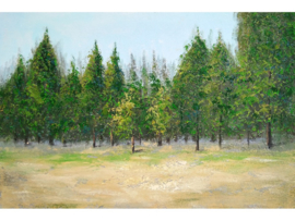 Olieverf schilderij landschap "Het bos" TBW004589sc