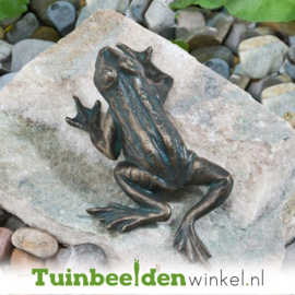 Tuinbeeld kikker ''Bronzen kikker'' TBW88497