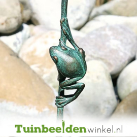 Tuinbeeld kikker ''Kikkertje op rietstengel'' TBW76920