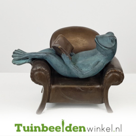 Tuinbeeld kikker ''Lezende kikker'' TBW1715BR