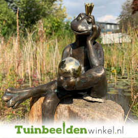 Tuinbeeld kikker ''Prins kikker Bart'' TBW88764