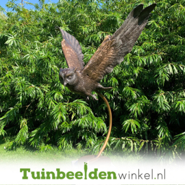 Beeld uil ''bronzen vliegende uil'' TBW2209br