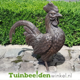 Hanen beeld van brons TBW6333br