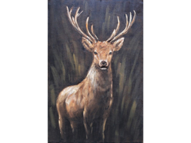 Olieverf schilderij dieren ''Het nieuwsgierige hert'' TBW006266sc