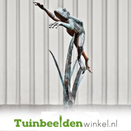 Tuinbeeld kikker ''Klimmende kikker'' TBW37288