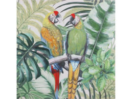 Olieverf schilderij dieren 'De papegaaien'' TBW25112sc