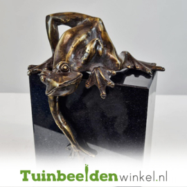 Tuinbeeld kikker ''Kikkertje op sokkel'' TBW26666