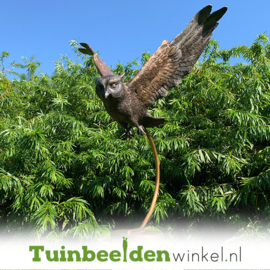 Beeld uil ''bronzen vliegende uil'' TBW2209br