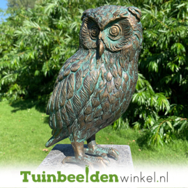 Beeld uil ''bronzen steenuil'' TBWR89002