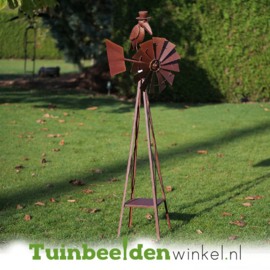 Windspinner ''De mysterieuze kraai'' TBW17238