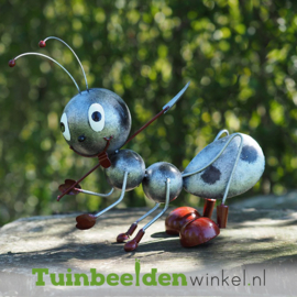 Metalen tuinbeeld figuur ''De werkende mier'' TBW16168