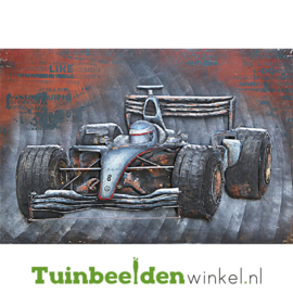 Metalen schilderij ''Autocoureur'' TBW001465