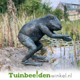 Tuinbeeld kikker ''Duikende kikker'' TBW90133