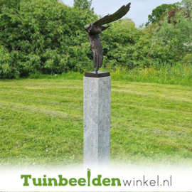 Beeld uil ''bronzen vliegende uil'' TBW1321br