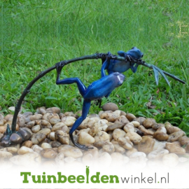 Tuinbeeld kikker ''Blauwe regenwoudkikkers'' TBW0980BR