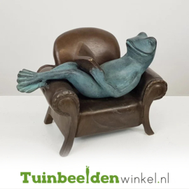 Tuinbeeld kikker ''Lezende kikker'' TBW1715BR