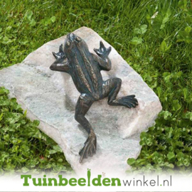 Tuinbeeld kikker ''Bronzen kikker'' TBW88496