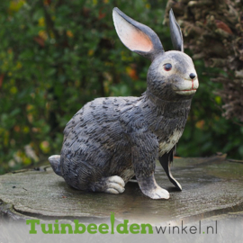 Metalen tuinbeeld figuur ''Schattig konijn'' TBW18534