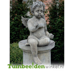 Betonnen tuinbeeld "Engel met duif" TWB3br223br