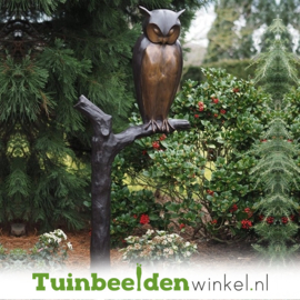 Beeld uil ''bronzen uil op tak'' TBW94545