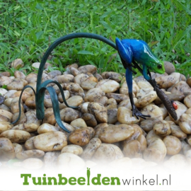 Tuinbeeld kikker ''Blauwe regenwoudkikker'' TBW0986BR