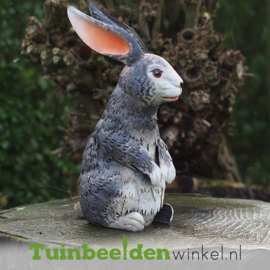 Metalen tuinbeeld figuur ''Observerend konijn'' TBW18636