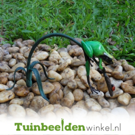 Tuinbeeld kikker ''Groene regenwoudkikker'' TBW0988BR