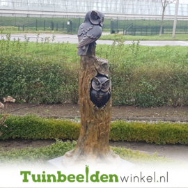 Beeld uil ''Bronzen uilenboom met twee uilen'' TBW37230