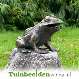 Tuinbeeld kikker ''Kikker brons'' TBW90110