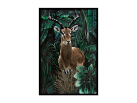Olieverf schilderij dieren ''Antilope'' TBW27180sc