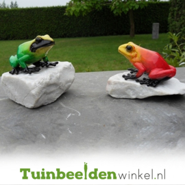 Tuinbeeld kikker ''Exotische kikkers'' TBW1071BR