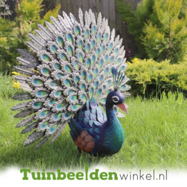 Metalen tuinbeeld  "De mooie pauw" TBW18220me