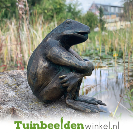 Tuinbeeld kikker ''Duikende kikker'' TBW90122BR