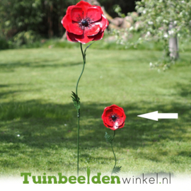 Tuinsteker bloem ''Kleine rode klaproos'' Tbw16201br