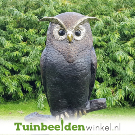 Beeld uil ''bronzen uil op tak'' TBW57490