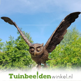 Beeld uil ''Tuinbeeld uil op hardsteen sokkel'' TBW1251br