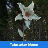 tuinsteker bloem