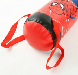 kleine boksbal 28 cm inclusief bokshandschoenen Spidermann