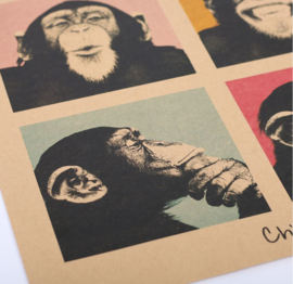 Vintage poster chimpasee - aapjes