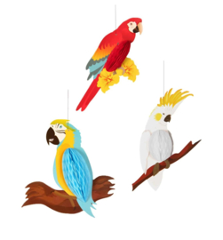 3 stuks papegaaien feestdecoratie honinggraat Ara en Kaketoe