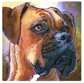 Diamond Painting - hobbypakket - hond Boxer 15x15 cm - vierkante steentjes