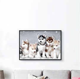 Diamond Painting Husky 40x60 cm (zonder lijst)