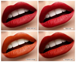 4 stuks Lipstick - lippenstift in sigarettendoosje