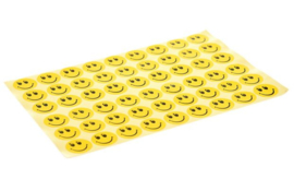312 smiley stickertjes (6 velletjes)