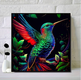 Diamond Painting  hobbypakket kolibrie 20x20 cm