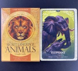 Tarot kaarten the Secret language of Animals